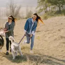 Bewellmentalhealthllc